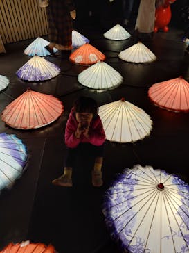 東京メガイルミに投稿された画像（2025/3/2）