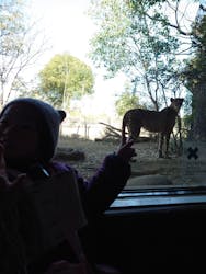 よこはま動物園ズーラシアに投稿された画像（2025/3/2）