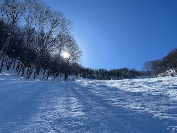 タングラムスキーサーカスに投稿された画像（2025/3/2）