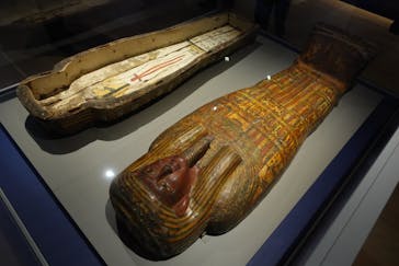 ブルックリン博物館所蔵 特別展 古代エジプトに投稿された画像（2025/3/2）