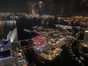 横浜ランドマークタワー 69階展望フロア スカイガーデンに投稿された画像（2025/3/2）