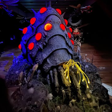 金曜ロードショーとジブリ展　三重展に投稿された画像（2025/3/2）