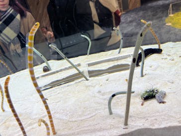 京都鉄道博物館×京都水族館に投稿された画像（2025/3/3）