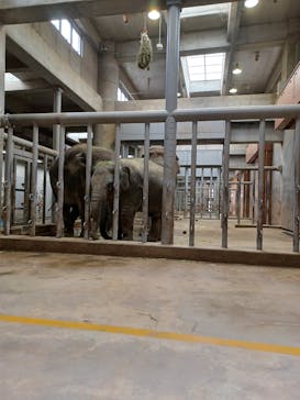 名古屋市東山動植物園に投稿された画像（2025/3/3）