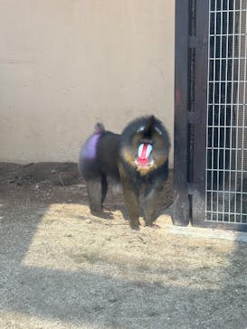 東武動物公園に投稿された画像（2025/3/3）