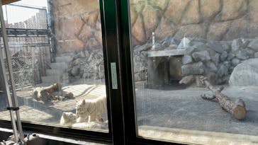 東武動物公園に投稿された画像（2025/3/3）