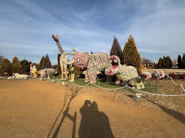 東武動物公園に投稿された画像（2025/3/3）