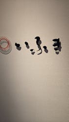 Hostel&Bar CAMOSIBAに投稿された画像（2025/3/3）