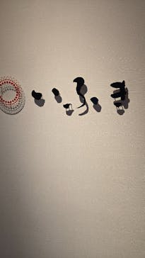 Hostel&Bar CAMOSIBAに投稿された画像（2025/3/3）