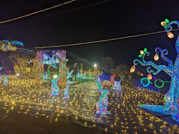 伊豆高原グランイルミに投稿された画像（2025/3/3）