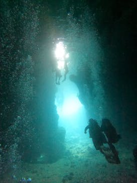 武藤潜水に投稿された画像（2025/3/3）