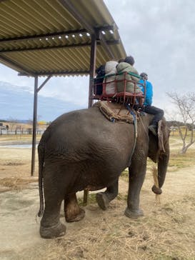 岩手サファリパークに投稿された画像（2025/3/3）