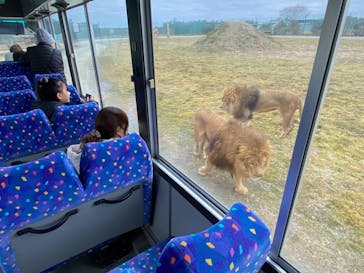 岩手サファリパークに投稿された画像（2025/3/3）