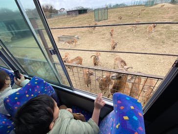 岩手サファリパークに投稿された画像（2025/3/3）