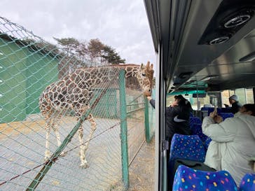 岩手サファリパークに投稿された画像（2025/3/3）