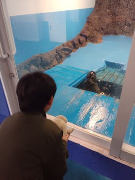 ゼロ距離水族館 伊勢シーパラダイスに投稿された画像（2025/3/3）