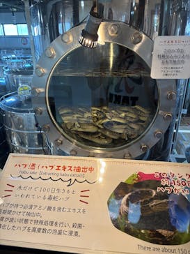 おきなわワールドに投稿された画像（2025/3/3）