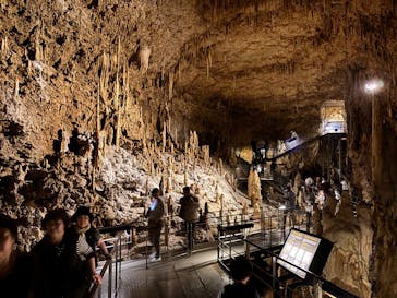 おきなわワールドに投稿された画像（2025/3/3）