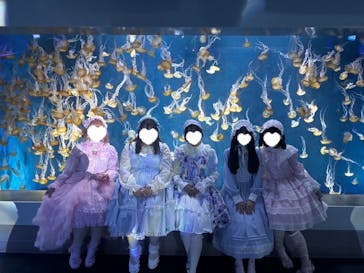 新江ノ島水族館に投稿された画像（2025/3/3）