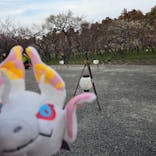 偕楽園本園に投稿された画像（2025/3/3）