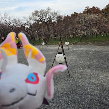 偕楽園本園に投稿された画像（2025/3/3）