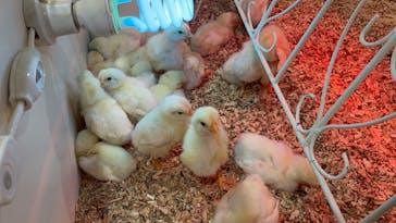 アニタッチアクアシティお台場に投稿された画像（2025/3/3）