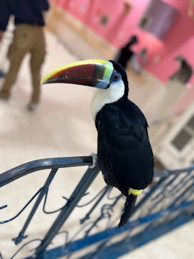 アニタッチアクアシティお台場に投稿された画像（2025/3/3）