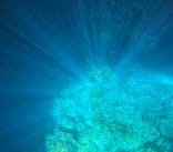 青の洞窟専門店　沖縄ダイビングショップ和に投稿された画像（2025/3/3）