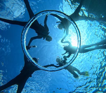 青の洞窟専門店　沖縄ダイビングショップ和に投稿された画像（2025/3/3）