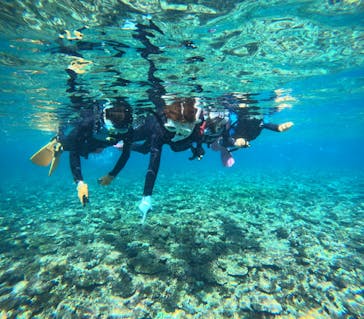 青の洞窟専門店　沖縄ダイビングショップ和に投稿された画像（2025/3/3）