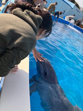 南知多ビーチランド＆南知多おもちゃ王国に投稿された画像（2025/3/3）