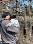 恩賜上野動物園に投稿された画像（2025/3/3）