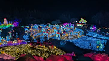 伊豆高原グランイルミに投稿された画像（2025/3/3）