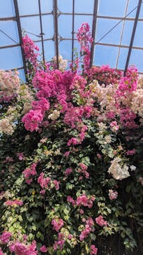 熱川バナナワニ園に投稿された画像（2025/3/3）