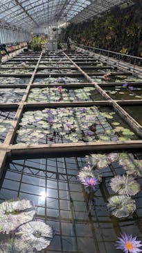 熱川バナナワニ園に投稿された画像（2025/3/3）