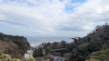 熱川バナナワニ園に投稿された画像（2025/3/3）