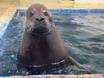 伊豆・三津シーパラダイスに投稿された画像（2025/3/3）