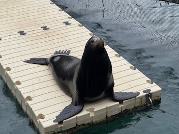 伊豆・三津シーパラダイスに投稿された画像（2025/3/3）