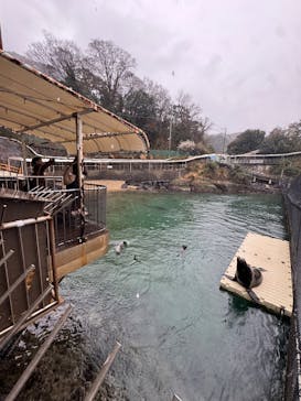 伊豆・三津シーパラダイスに投稿された画像（2025/3/3）