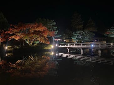 国営昭和記念公園 秋の夜散歩に投稿された画像（2025/3/3）