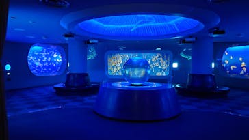 新江ノ島水族館に投稿された画像（2025/3/3）