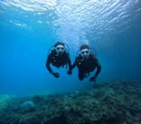 沖縄マリンサービス碧に投稿された画像（2025/3/3）