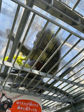 沖縄こどもの国に投稿された画像（2025/3/3）