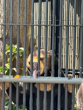 沖縄こどもの国に投稿された画像（2025/3/3）