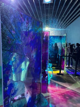 蜷川実花展 with EiM：彼岸の光、此岸の影 NINAGAWA Mika with EiM：Lights of the beyond, Shadows of this worldに投稿された画像（2025/3/3）