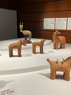 特別展「はにわ」（九州国立博物館）に投稿された画像（2025/3/3）