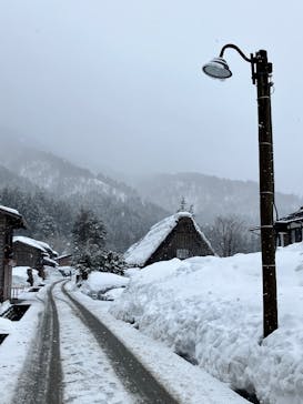 ホワイトリングに投稿された画像（2025/3/3）