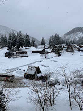 ホワイトリングに投稿された画像（2025/3/3）