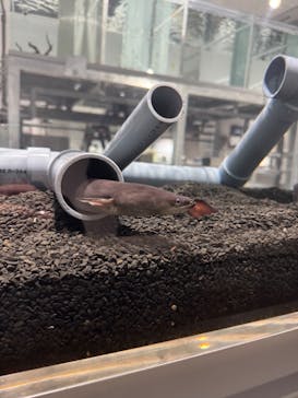 AOAO SAPPOROに投稿された画像（2025/3/3）