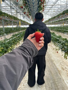 井上寅雄農園に投稿された画像（2025/3/3）